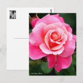 Rosa Princess Chichibu:Postcard ポストカード (正面/裏面)