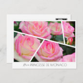 Rosa Princesse de Monaco ポストカード (正面/裏面)