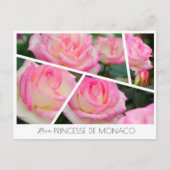 Rosa Princesse de Monaco ポストカード (正面)