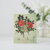 Rosa rugosaの「Flora Japonica」より ポストカード (スタンド正面)