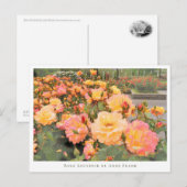 Rosa Souvenir de Anne Frank ポストカード (正面/裏面)