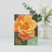 Rosa Souvenir de Anne Frank [Postcard] ポストカード (スタンド正面)