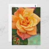 Rosa Souvenir de Anne Frank [Postcard] ポストカード (正面/裏面)