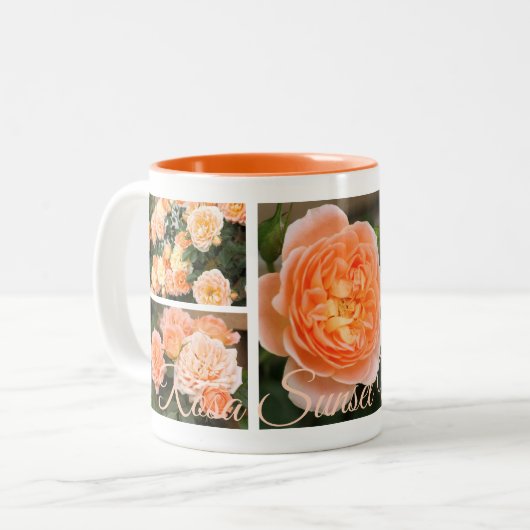 Rosa Sunset Memory:Two‐tone Mug ツートーンマグカップ (正面左)