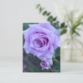 Rosa Sweet Moon ポストカード (スタンド正面)