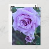 Rosa Sweet Moon ポストカード (正面/裏面)