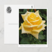 Rosa Toulouse Lautrec ポストカード (正面/裏面)