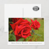Rosa Uncle Walter ポストカード (正面/裏面)