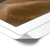 Rosalba Carriera Zeading Art Poster #13 ポスター (角)