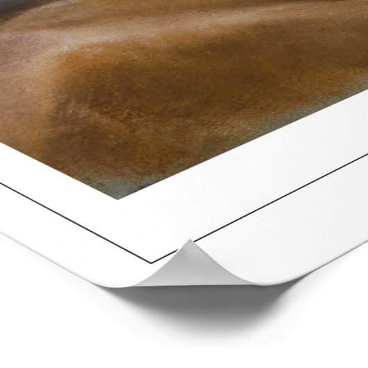 Rosalba Carriera Zeading Art Poster #13 ポスター (角)