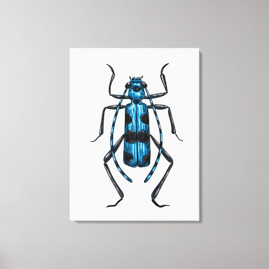 Rosalia Alpina beetle キャンバスプリント (正面)