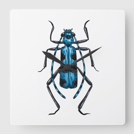 Rosalia Alpina beetle スクエア壁時計 (正面)
