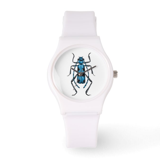 Rosalia Alpina beetle 腕時計 (正面)
