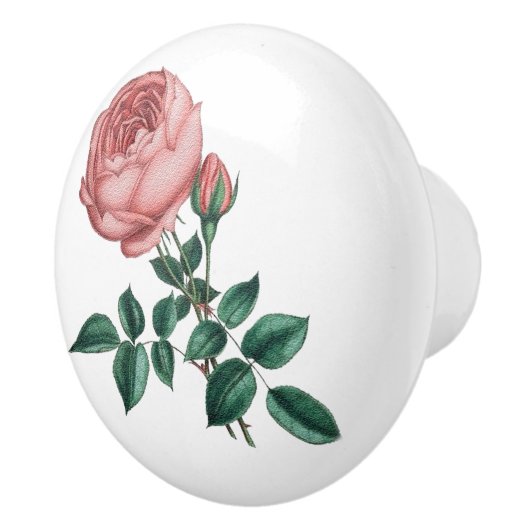 Rose セラミックノブ (右)