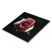 rose  タイル (側面)