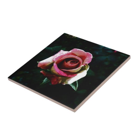 rose  タイル (側面)