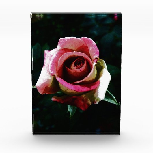 rose フォトブロック (正面)