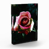rose フォトブロック (左)