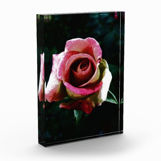 rose フォトブロック (左)