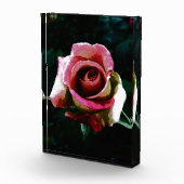 rose フォトブロック (右)