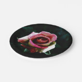 rose  ペーパープレート (アングル)