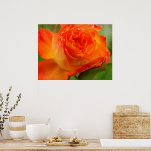 Rose ポスター (キッチン)