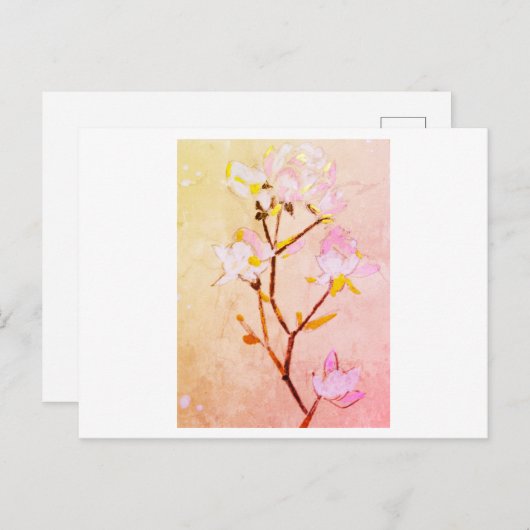 Rose ポストカード (正面/裏面)