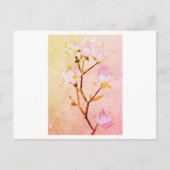 Rose ポストカード (正面)