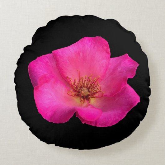 Rose aux feutres ラウンドクッション (正面)