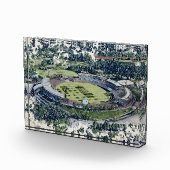 Rose Bowl Southampton Cricket Ground Artistic フォトブロック (右)