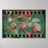 Rose Film ポスター (正面)