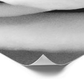 Rose Flower Close Up Black and White Photography ポスター (角)