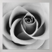 Rose Flower Close Up Black and White Photography ポスター (正面)