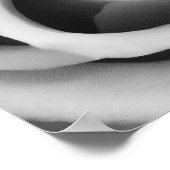 Rose Flower Close Up Black and White Photography ポスター (角)