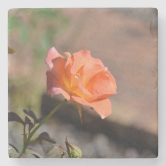Rose Garden コースターコレクション 4/4 ストーンコースター