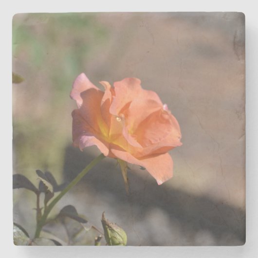 Rose Garden コースターコレクション 4/4 ストーンコースター (正面)