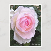 Rose Garden ポストカード (正面)