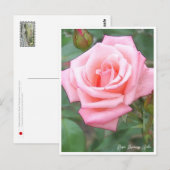 Rose Garden ポストカード (正面/裏面)
