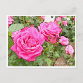 Rose Garden ポストカード (正面)
