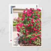 Rose Garden ポストカード (正面/裏面)