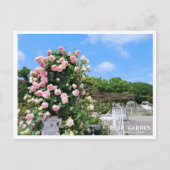Rose Garden ポストカード (正面)