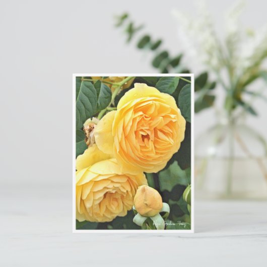 Rose Garden ポストカード (スタンド正面)