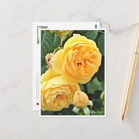 Rose Garden ポストカード (正面/裏面インサイチュ)