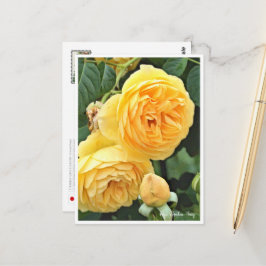 Rose Garden ポストカード