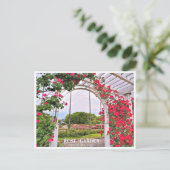 Rose Garden (Nagai Botanical Garden) ポストカード (スタンド正面)