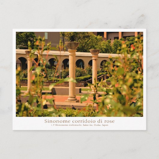 Rose Garden Scenery ポストカード (正面)
