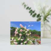 Rose garden scenery：Postcard ポストカード (スタンド正面)