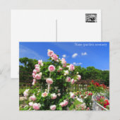 Rose garden scenery：Postcard ポストカード (正面/裏面)