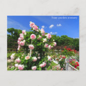Rose garden scenery：Postcard ポストカード (正面)
