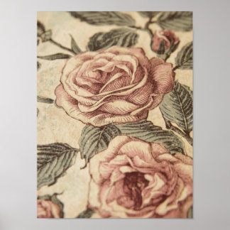 Rose Garden Sketch ポスター